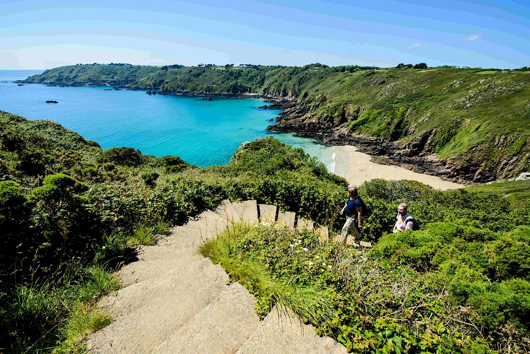 south_coast_cliffs_11_1.jpg?nc=10